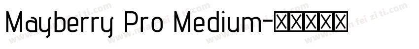 Mayberry Pro Medium字体转换